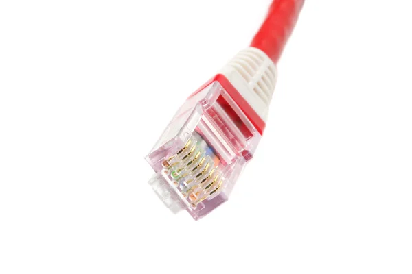 Computer ethernet cable isolated Royalty Free Stock Images