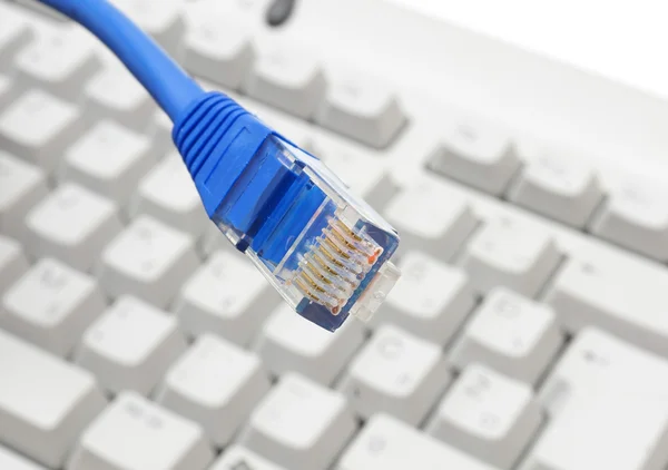 Kabel Ethernet na klawiaturze — Zdjęcie stockowe