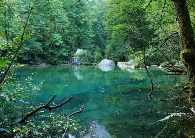 Slovenya Alpleri'nde kamniska bistrica Gölü