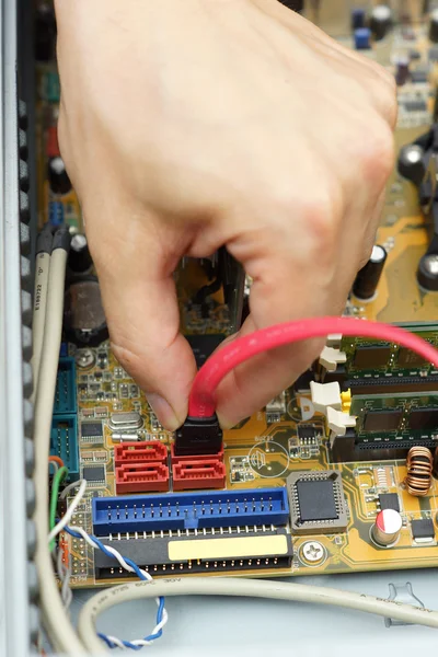 Computer repairman attach the hard disk drive cable to motherboa — Stock Photo, Image