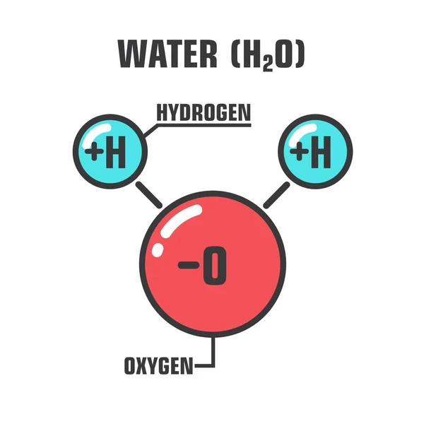 Vector Science Water Molecule Stock Illustration Water H2O Molecule Structure — Stock vektor