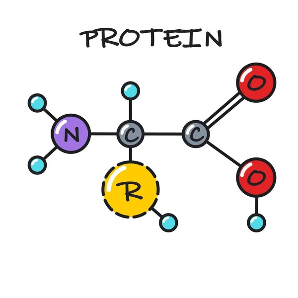 Vector Science Icon Protein Molecule Stock Illustration Protein Structure Molecule — Stock vektor