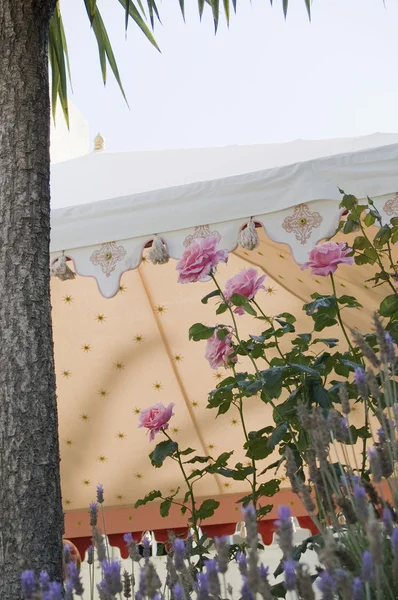 ガーデン パーティー テント — ストック写真