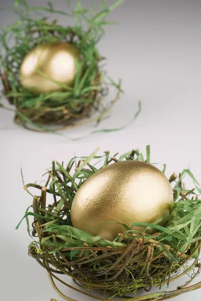 金蛋在巢上灰色 — 图库照片