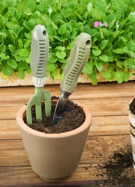 Pentola in argilla con attrezzi da giardinaggio — Foto Stock