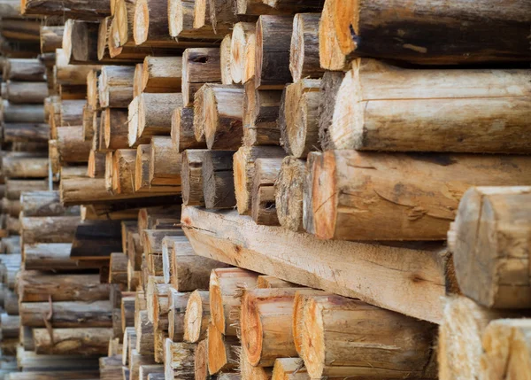 Drewno w magazynie fabryki — Zdjęcie stockowe