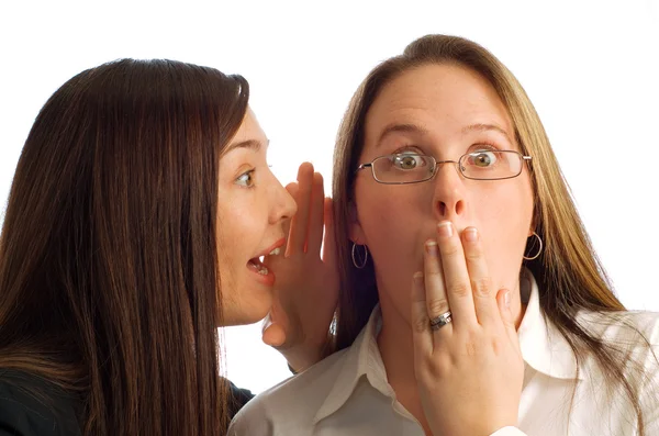 Businesswomen Gossiping — Stock Photo, Image