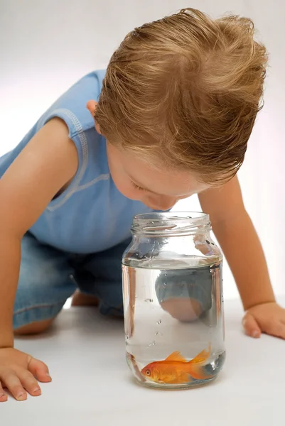 Boy todder mirando a los peces — Foto de Stock