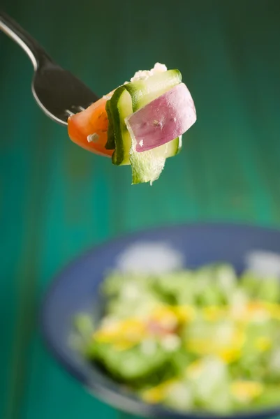 Salad on fork — Stock Photo, Image