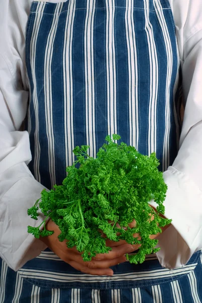 Woman chef with parsley — Stock Photo, Image
