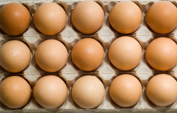 Eggs in box — Stock Photo, Image