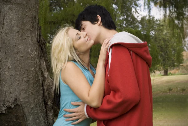 Kissing nest to garden tree — Stock Photo, Image