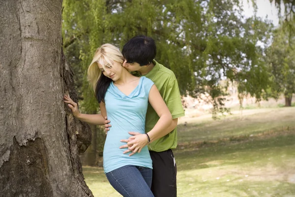 Besar nido de cuello a árbol de jardín — Foto de Stock