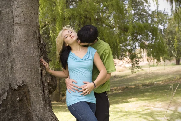 Happy kissing neck nest to garden tree Stock Picture