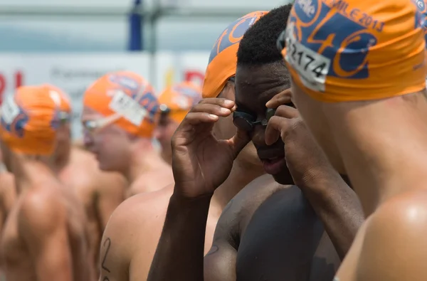 Zwemmers in midmar mijl gebeurtenis Stockfoto