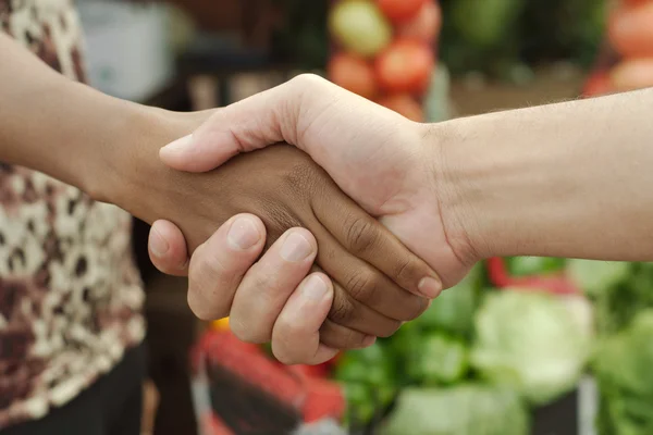 African or black American woman handshake traditional market deal in township