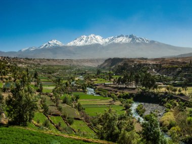 Arequipa, Peru 'dan sis üzerinde Misti volkanı manzarası