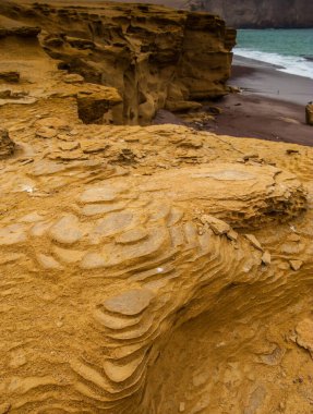 Peru 'daki Paracas Ulusal Rezervi