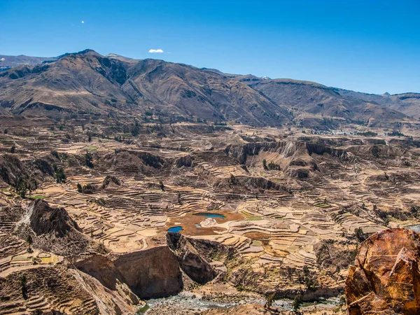 Incan Terraced Fields Colca Valley Peru — Stock Photo, Image