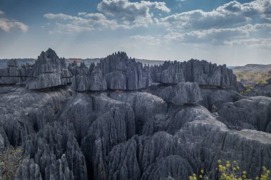 Madagaskar 'daki Bemaraha doğa rezerv görüntüsü