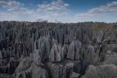 Madagaskar 'daki Bemaraha doğa rezerv görüntüsü