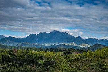 Marojejy park manzarası bulutların altında, Madagaskar