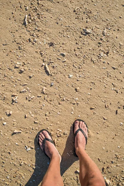 Pieds Sur Plage Avec Coquillages Madagascar — Photo