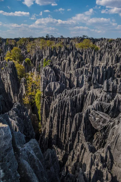 마다가스카르에서 수있는 Bemaraha Tsingy Nature Reserve View 스톡 이미지