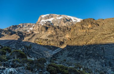 Kilimanjaro Dağı alacakaranlıkta panoramik manzara, Tanzanya