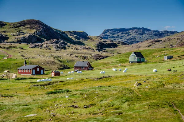 Venkovské Pole Malá Vesnická Farma Grónsko — Stock fotografie