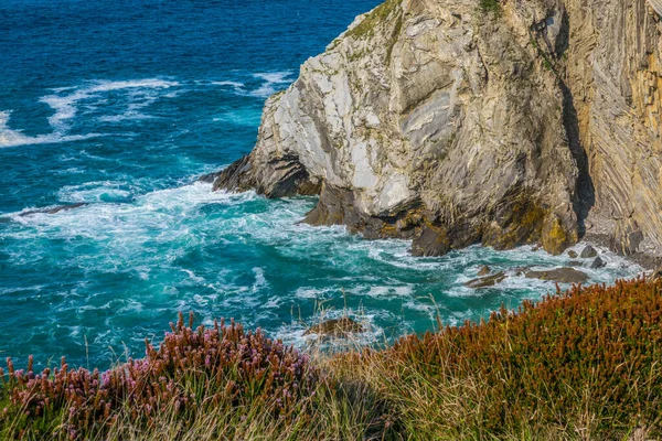Detail Coast Cliffs Bizkaia Basque Country — Stock Photo, Image