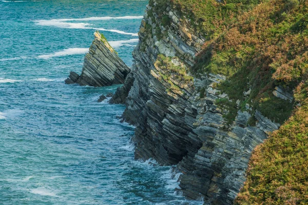 Detail Coast Cliffs Bizkaia Basque Country — Stock Photo, Image