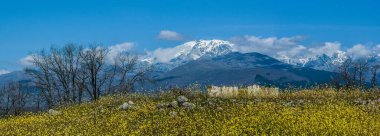 Sierra de Gredos 'ta bahar karı