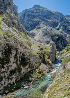 Picos de Europa dağlarında nehir bakımı, Asturias