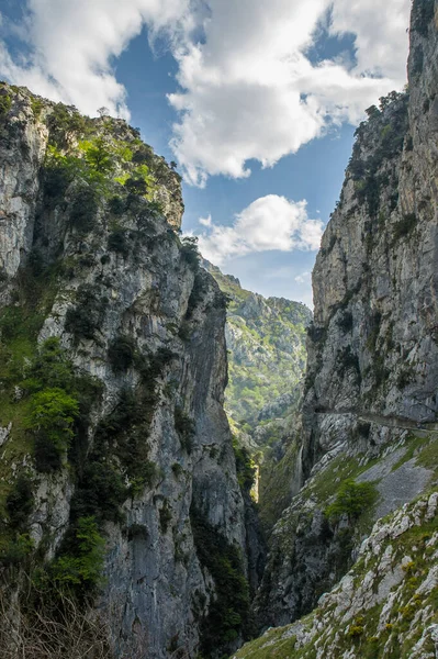 Sentier Ruta Del Cares Dans Les Montagnes Picos Europa Espagne — Photo