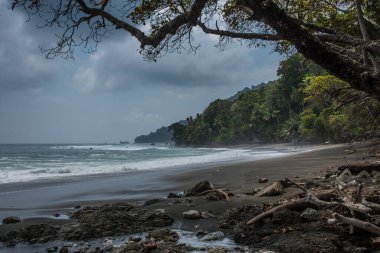Corcovado Ulusal Parkı Sahili, Kosta Rika 'daki Sirena İstasyonu' na giden patika.