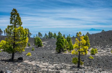 La Palma, Kanarya Adaları 'ndan Teide volkanı manzarası