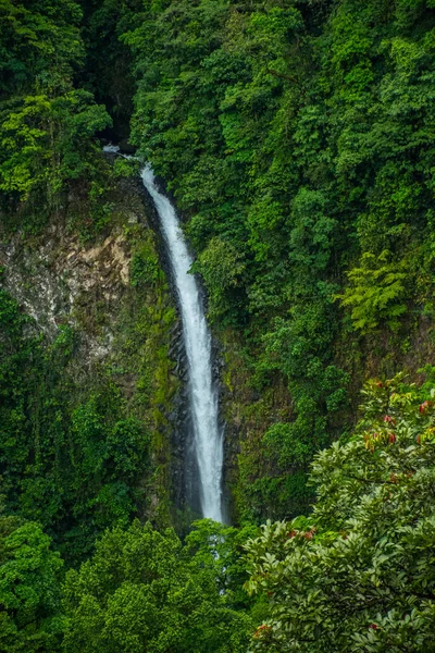 Fortuna Vodopád Detail Kostarika — Stock fotografie