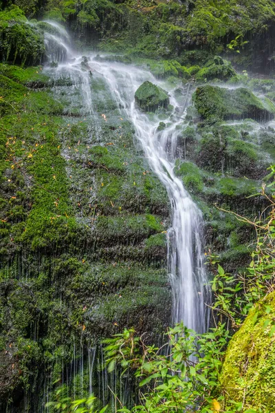 Small Water Current Los Tilos Waterfall Palma — Stock Photo, Image