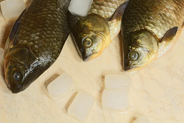 Fresh fish furred ice. — Stock Photo, Image