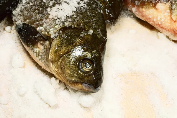 Fresh fish with salt. — Stock Photo, Image