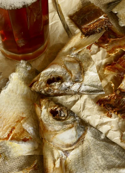 Sun-dried fish with beer. — Stock Photo, Image