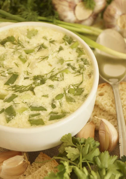 Bílý, zeleninová polévka se zelenými. — Stock fotografie