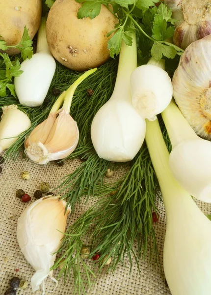 A set of spring vegetables. — Stock Photo, Image