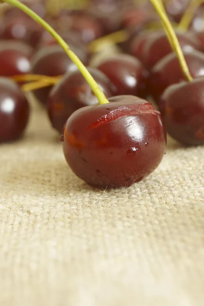 Cherry. — Stock Photo, Image