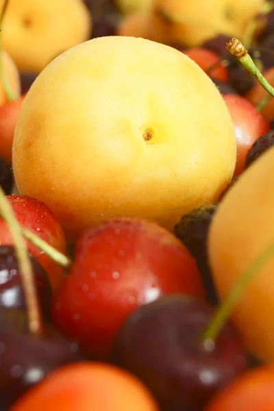 Apricot and cherry. — Stock Photo, Image