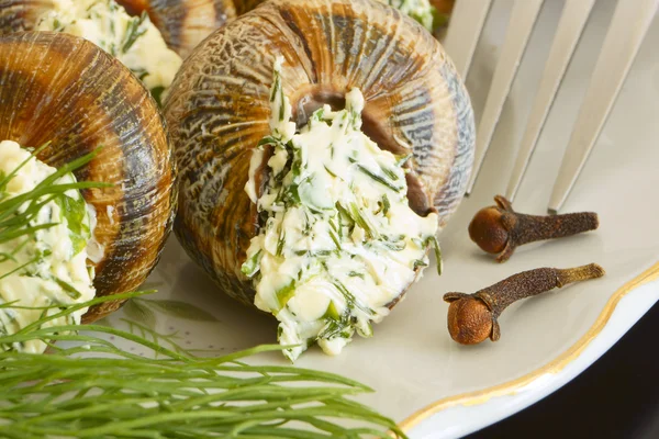 A snail with dill and parsley. — Stock Photo, Image