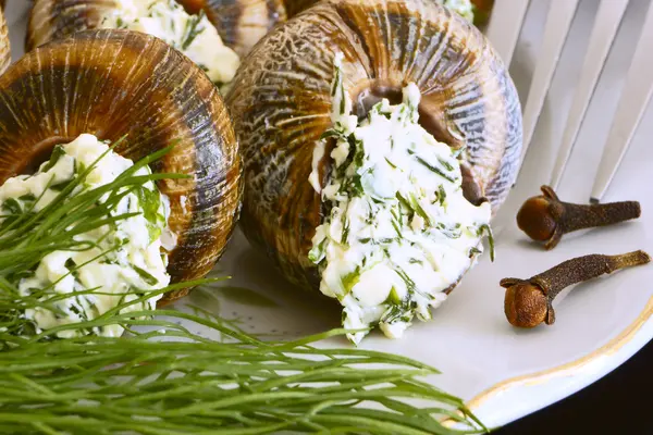 A snail with dill and parsley. — Stock Photo, Image