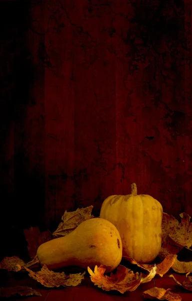 Pumpkin in the basement — Stock Photo, Image