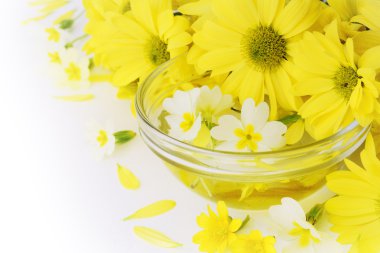 Gerbera in een boeket